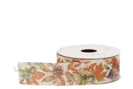 <h4>Ribbon Autumn 10mx38mm Nm</h4>