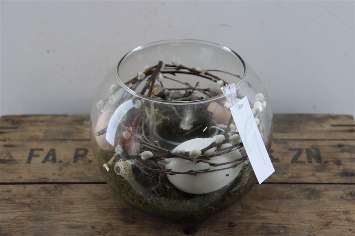 Arr Hipp Mosbol Dennenappel Mo-06