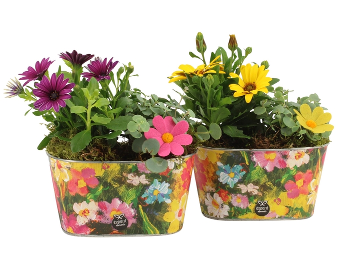 <h4>31686: Outdoor summer arrangement</h4>