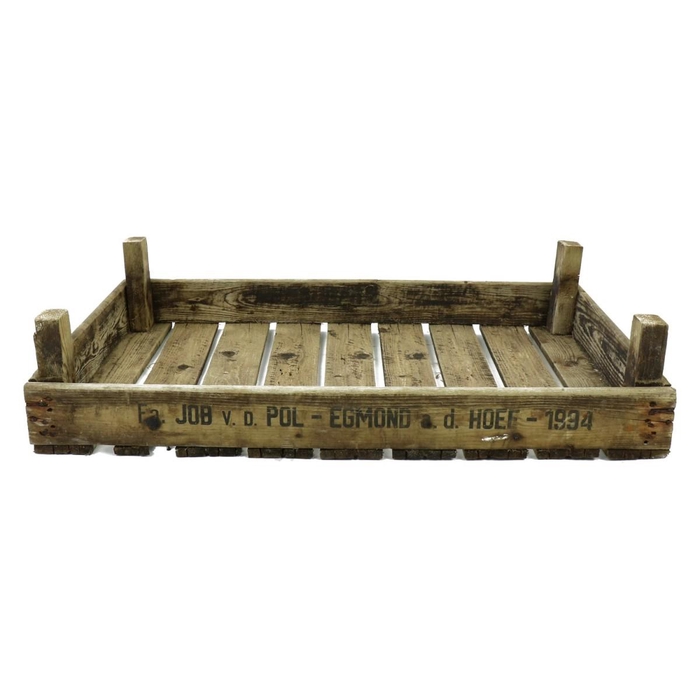 <h4>Promo Box tulip 75*50*26cm</h4>