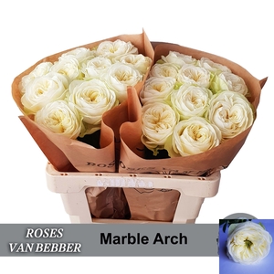 R GR MARBLE ARCH