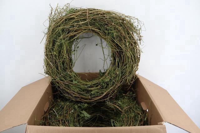 <h4>Wreath Hop Branches Ø60</h4>