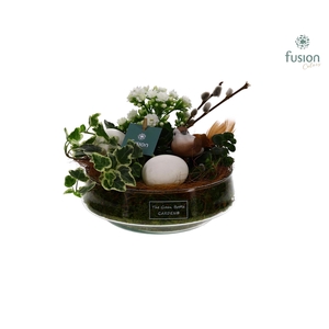 Green Bottle Iris Medium Pasen met Arrangement