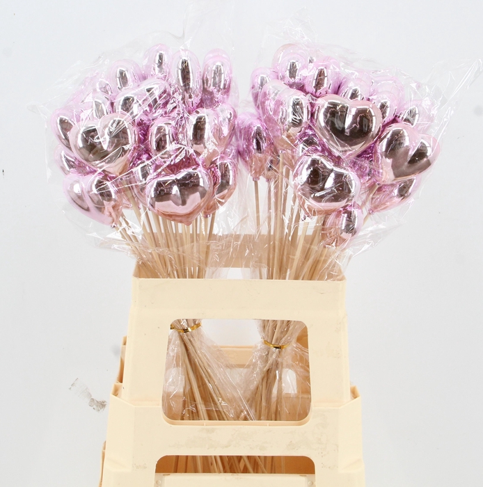 <h4>HARTJE OP STOK H%</h4>