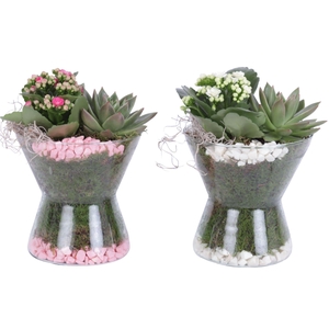 Yearround Arr. Indoor Glass Hourglass Ø16cm 2PP