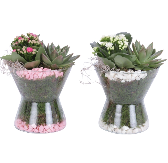 <h4>Yearround Arr. Indoor Glass Hourglass Ø16cm 2PP</h4>