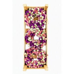 Wr Dried Gomphrena Mix 20cm