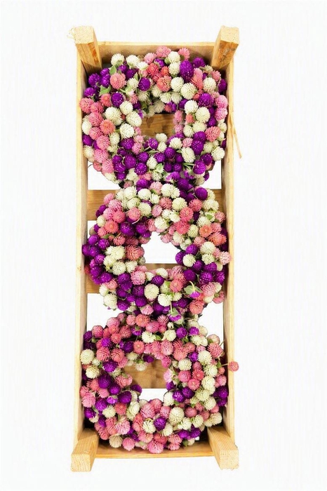 <h4>Wr Dried Gomphrena Mix 20cm</h4>