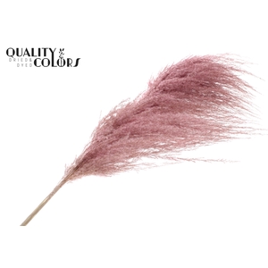 Pampas Grass ± 175cm p/pc in poly Light Pink
