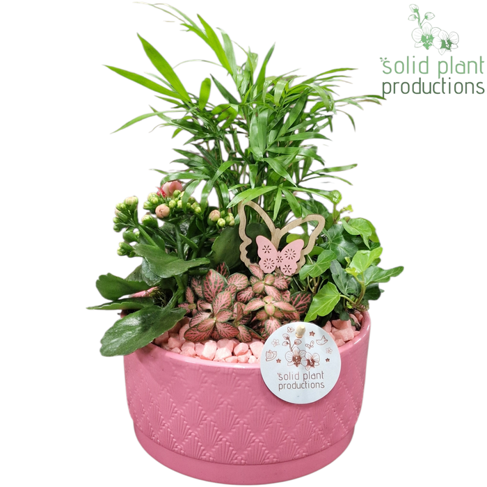 <h4>CH003 Loes Pink</h4>