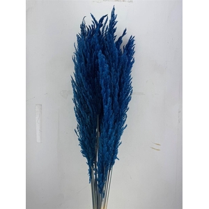 Dried Pampas Gras D. Blue (8 Stems) Bunch