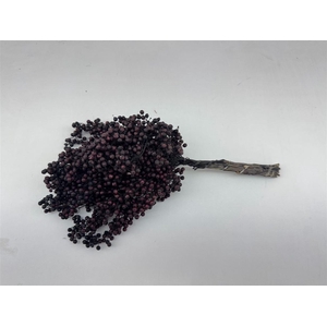 Schinus M Pt Black Bunch