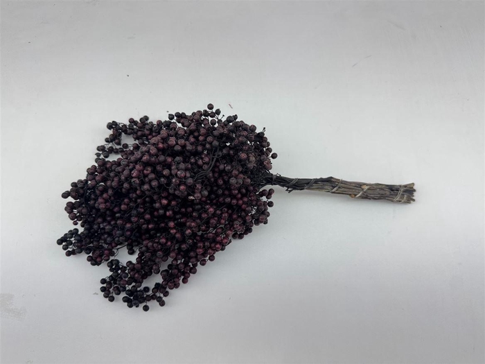 <h4>Schinus M Pt Black Bunch</h4>