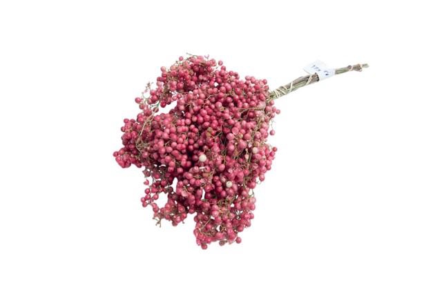 <h4>Dried schinus mollis naturel</h4>