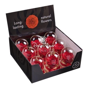 Display Dome Sarah Red02