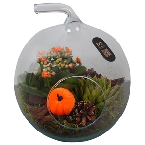 Arr.   Planten H%
