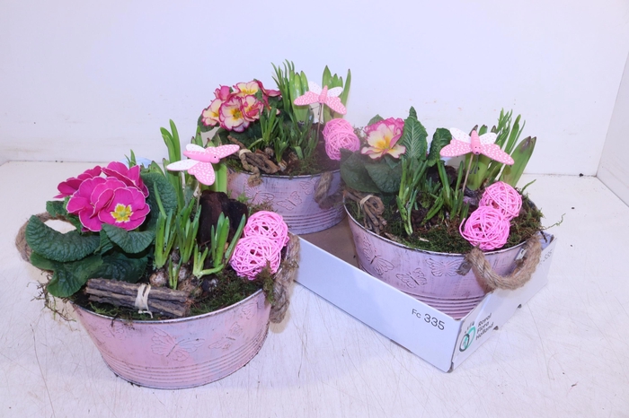 <h4>ARR TUINPLANTEN</h4>