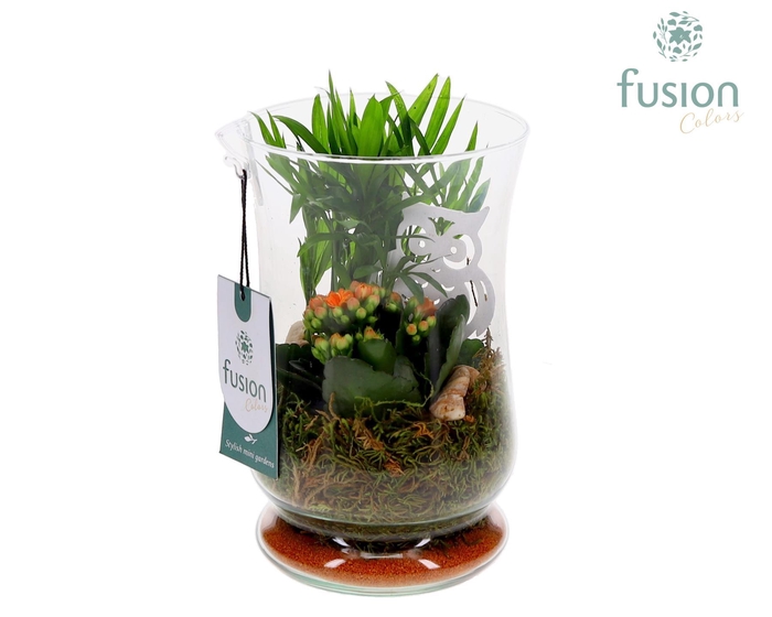 <h4>Glas Windlicht met Arrangement</h4>