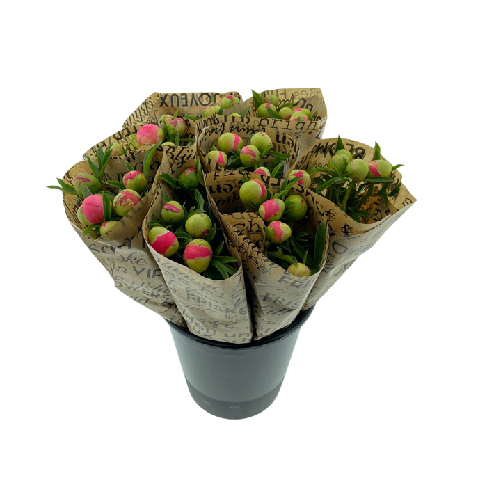 <h4>Mono Pioenen Zalmroze x5 in broodpapier</h4>