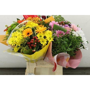 BOEKET GERMINI MIX (5 KLEUREN)