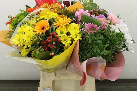 <h4>BOEKET GERMINI MIX (5 KLEUREN)</h4>