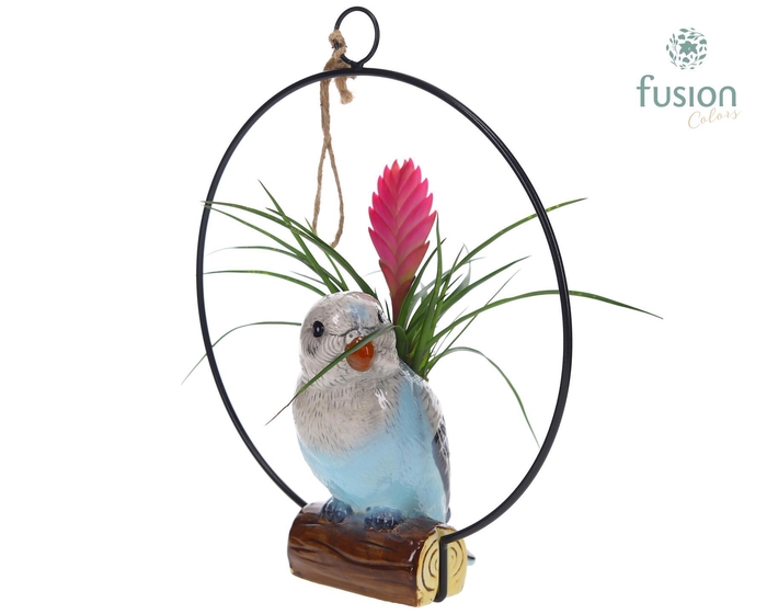 <h4>Keramiek vogels in de ring met Tillandsia</h4>