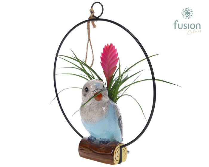 <h4>Keramiek vogels in de ring met Tillandsia</h4>