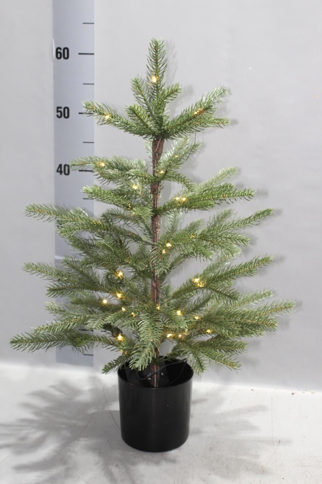 <h4>HUIS EN TUINDECO H%</h4>