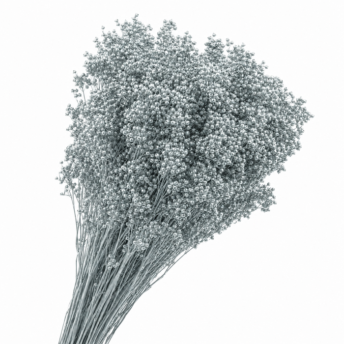 <h4>Dried Pepper Berries Silver</h4>