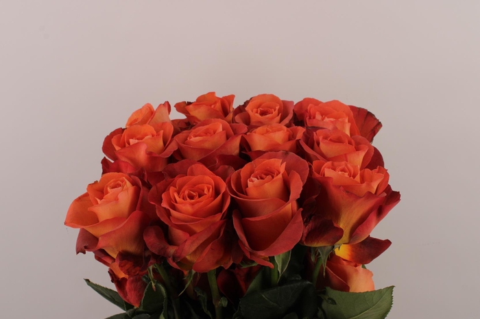 <h4>R Gr Coffee Break</h4>