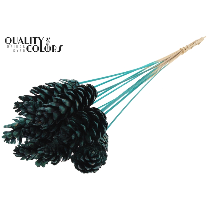 <h4>Strobus 10-15cm on stem Turquoise</h4>