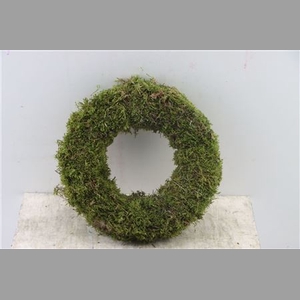 Wr Easter Moss 30cm Natural