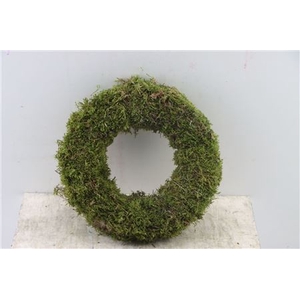 Wr Moss 30cm Natural