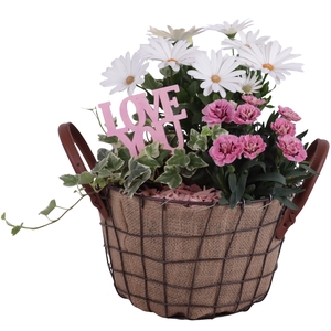 Mothersday Arr. Outdoor Metal Wire Basket Jute Ø21cm 3PP