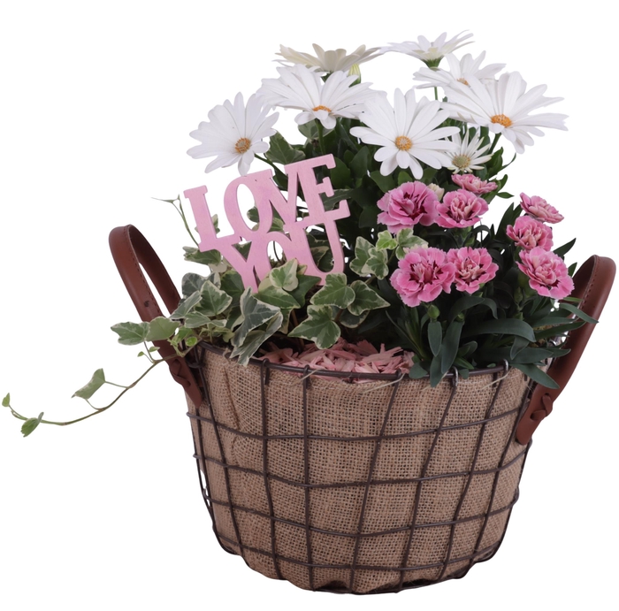 <h4>Mothersday Arr. Outdoor Metal Wire Basket Jute Ø21cm 3PP</h4>