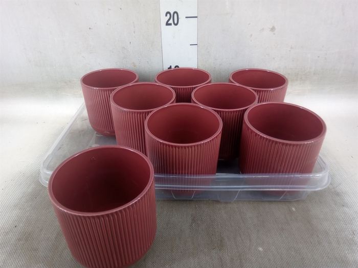 <h4>Pot   ...Keramische H%</h4>