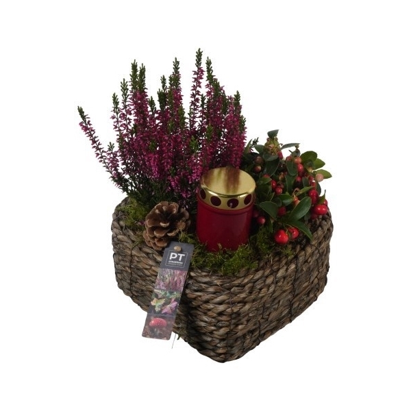 <h4>PTAH8674 Arrangement Allerheiligen in rieten hart</h4>