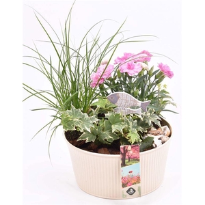 Zink schaal ribbel creme 18cm