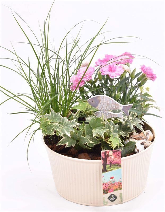 <h4>Zink schaal ribbel creme 18cm</h4>