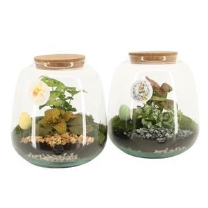 70889: Easter terrarium