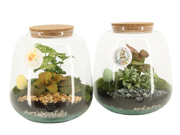 <h4>70889: Easter terrarium</h4>