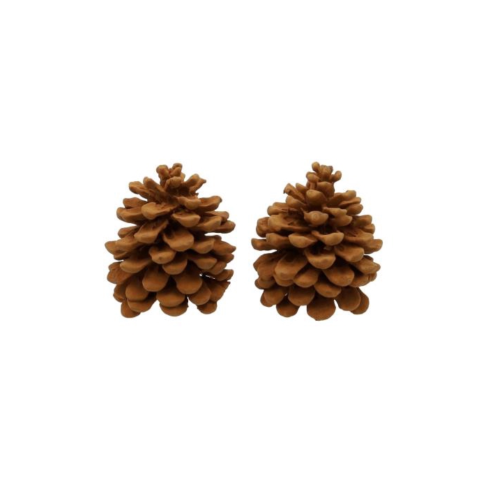 <h4>Pinecone Pinea Cinnamon 2 Pcs Slv L19W12H14</h4>