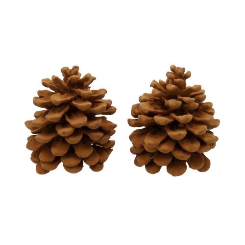 Pinecone Pinea Cinnamon 2 Pcs Slv L19W12H14