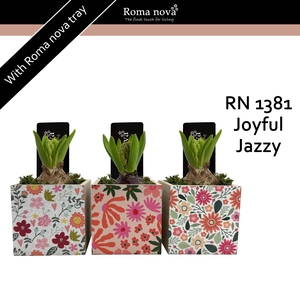 Hya Rom 1381 Joyful Jazzy