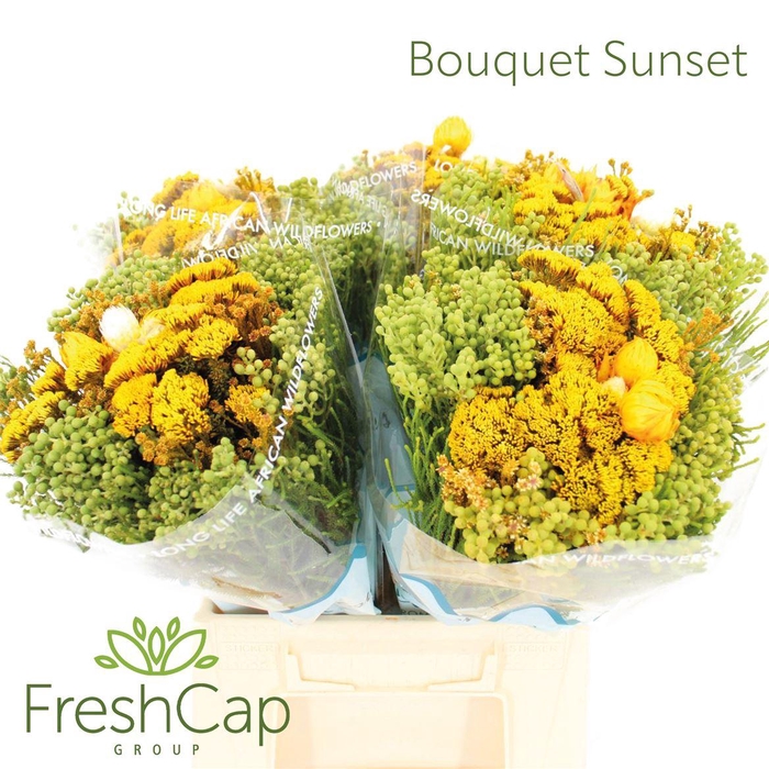 <h4>Bouquet Sunset</h4>