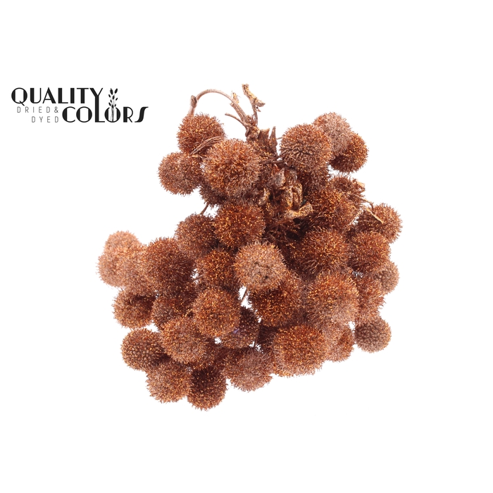 <h4>Small ball per bunch in poly Copper + Glitter</h4>