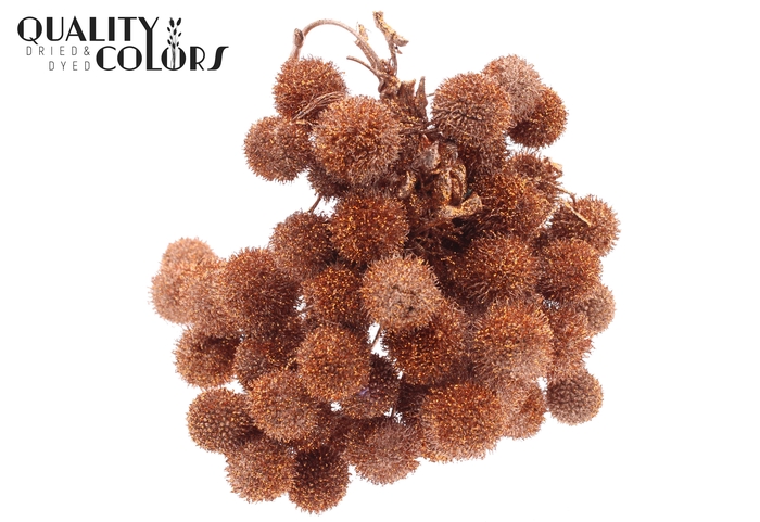 Small ball per bunch in poly Copper + Glitter