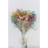 Pres Gypsophila Panic Rainbow Bouquet