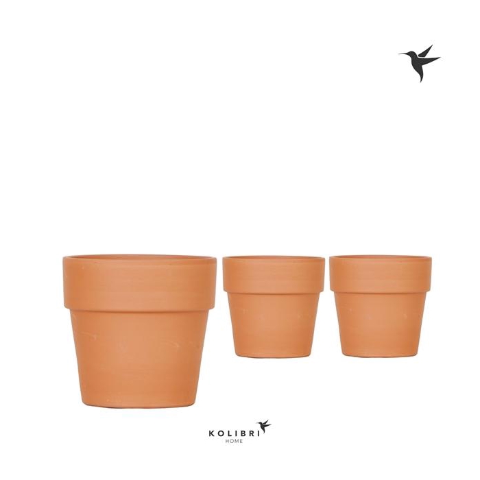<h4>Kolibri Home Terracotta pot</h4>
