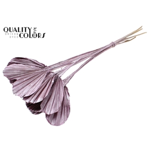 Palm Spear Heart per stem Metallic Pink